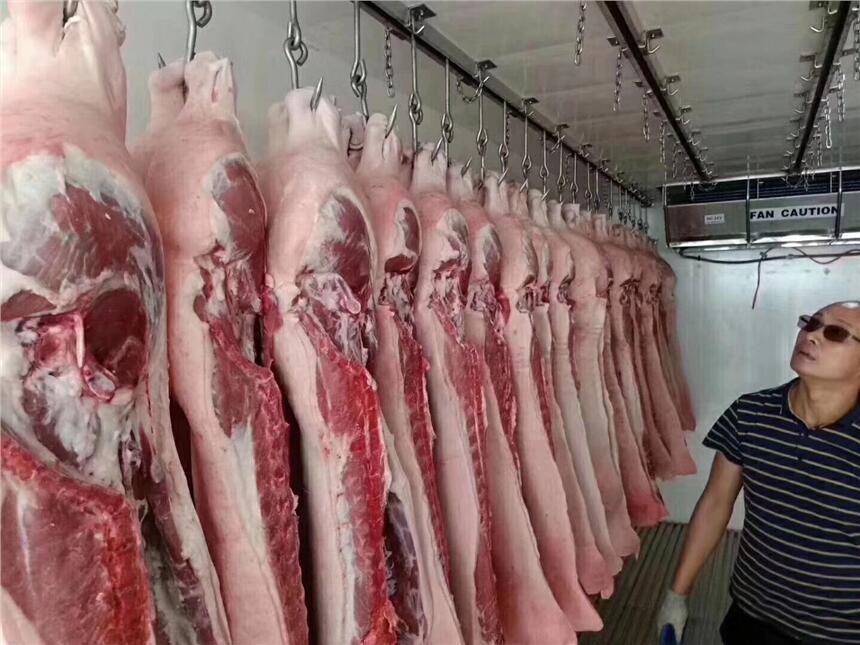 河北承德后双轮国六冷藏车哪里可以买和看车